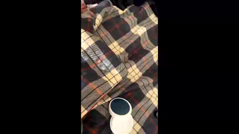 sirgalaxy online show from November 2, 1:46 pm