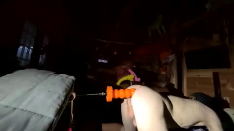 sirtoke710 online show from April 11, 10:52 am