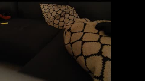 Snapshot of sissygirlalexandra chatting on January 26, 1:31 am sissygirlalexandra online show from January 26, 1:31 am