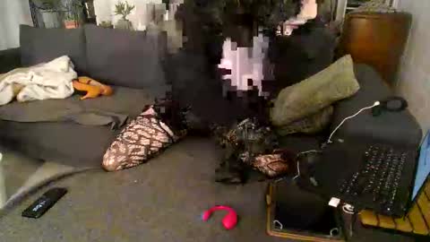 Snapshot of sissygirlalexandra chatting on November 1, 6:43 pm sissygirlalexandra online show from November 1, 6:43 pm