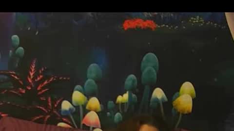 sk_bert online show from December 1, 3:55 am