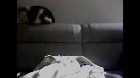 miguel online show from December 2, 4:09 am