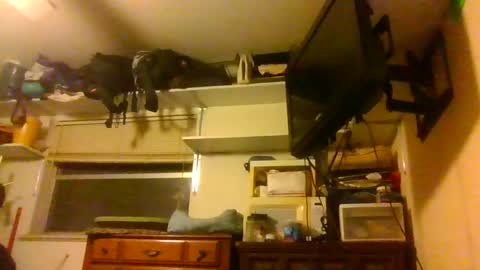 skewedviewblue online show from December 5, 3:37 am