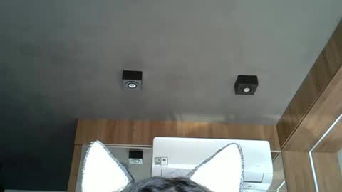 skinnykittencam online show from October 17, 6:43 pm