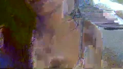 skinnykittencam online show from November 16, 7:25 am