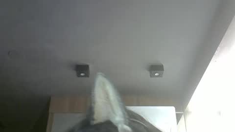 skinnykittencam online show from March 22, 2:42 pm