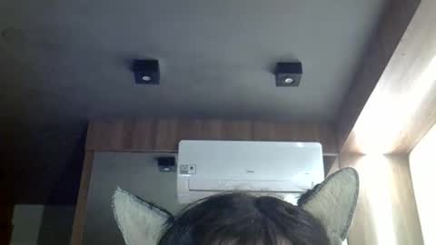 skinnykittencam online show from May 3, 3:07 pm
