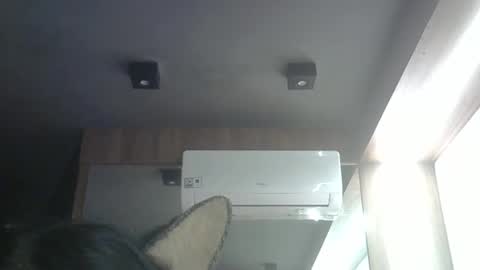 skinnykittencam online show from May 4, 3:13 am