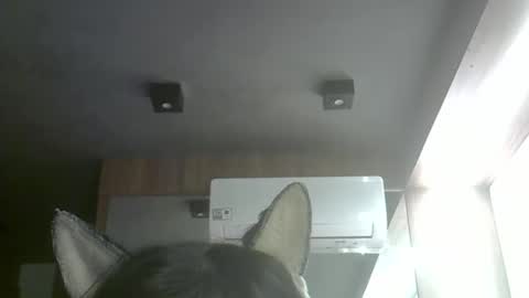 skinnykittencam online show from May 10, 6:51 am
