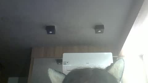skinnykittencam online show from May 16, 10:36 am