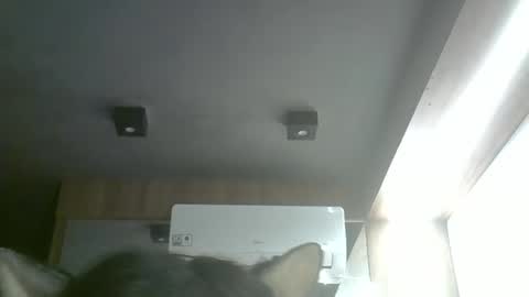 skinnykittencam online show from May 17, 11:17 am