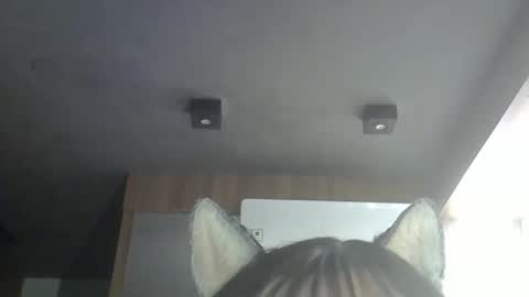 skinnykittencam online show from May 18, 1:02 am