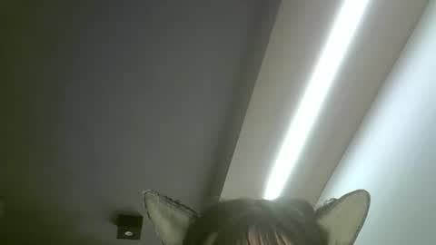 skinnykittencam online show from May 19, 2:18 am