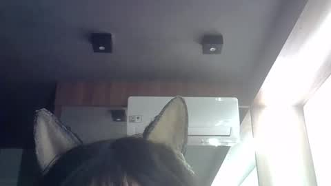 skinnykittencam online show from May 21, 9:16 am