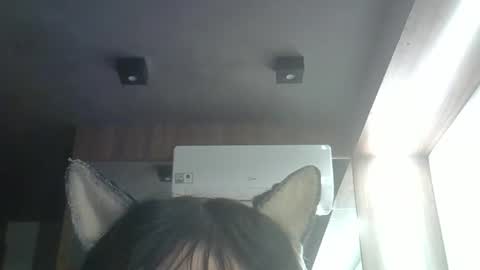 skinnykittencam online show from May 23, 3:38 pm