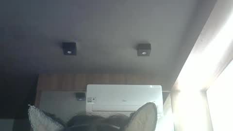 skinnykittencam online show from May 24, 3:55 am