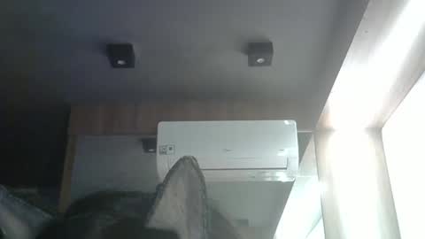 skinnykittencam online show from May 24, 4:01 pm