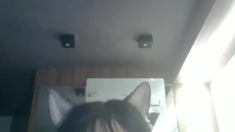 skinnykittencam online show from May 26, 9:38 am