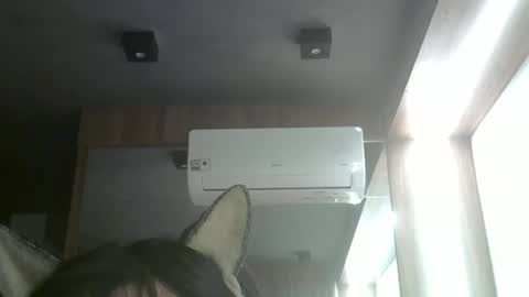 skinnykittencam online show from May 26, 11:01 pm