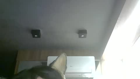skinnykittencam online show from May 28, 6:38 pm