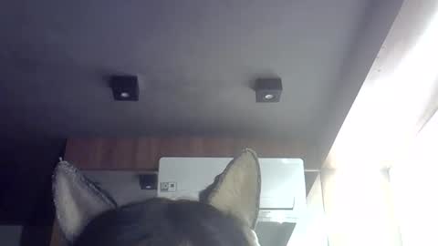 skinnykittencam online show from May 29, 9:29 am
