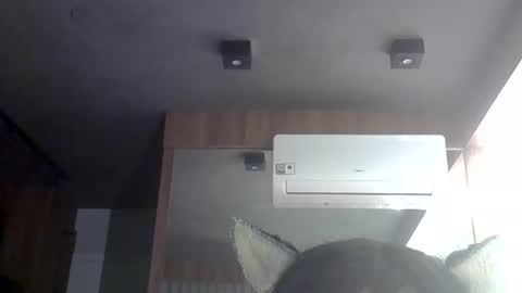 skinnykittencam online show from May 30, 6:54 am