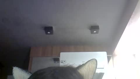 skinnykittencam online show from May 30, 7:00 pm