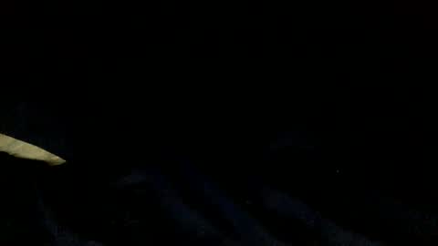 skinnypole6 online show from December 4, 6:06 pm