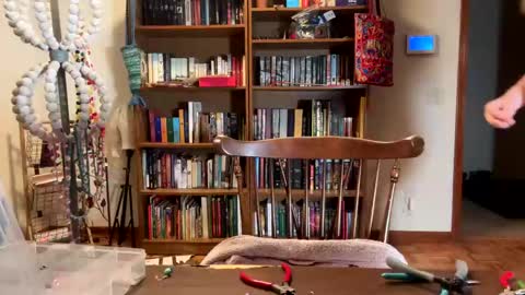 Sky Winters online show from February 19, 11:46 pm