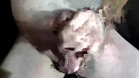 Z online show from December 2, 8:48 pm