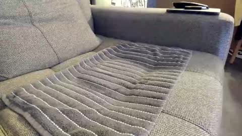 Snapshot of slaterboyyy chatting on November 6, 1:06 am slaterboyyy online show from November 6, 1:06 am