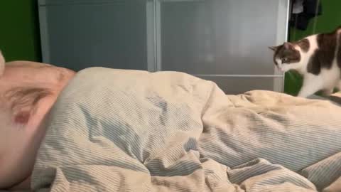 slice5 online show from April 4, 8:34 am