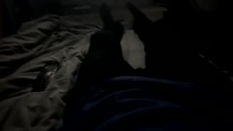 Snapshot of slimboy6900 chatting on February 23, 1:36 am slimboy6900 online show from February 23, 1:36 am