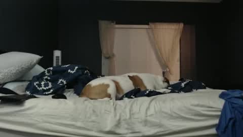 Snapshot of slimjp chatting on February 7, 2:26 am slimjp online show from February 7, 2:26 am