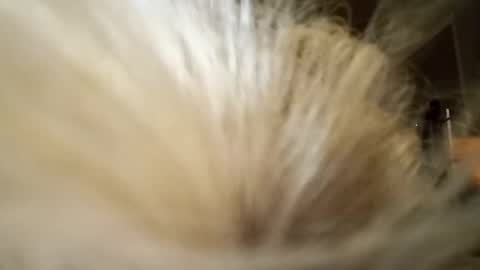 Fun time online show from April 4, 11:51 am