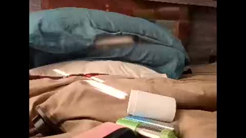 Snapshot of sluttyslut123797367 chatting on March 30, 1:56 pm Nastyguurl online show from March 30, 1:56 pm