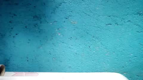 jess online show from January 5, 5:09 pm