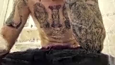 smallone8825 online show from February 5, 6:15 pm