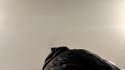 Snapshot of smokeymt420 chatting on February 1, 4:05 pm smokeymt420 online show from February 1, 4:05 pm