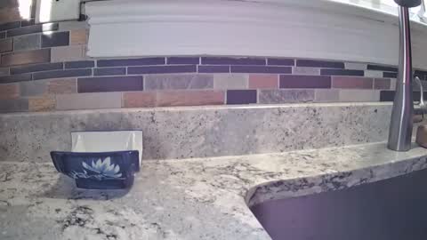 smthbtm53 online show from March 14, 1:16 pm