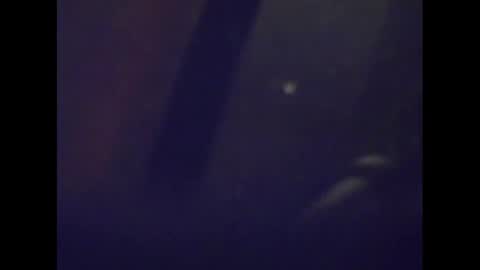 Snapshot of snake1583 chatting on January 15, 5:08 am Mark online show from January 15, 5:08 am