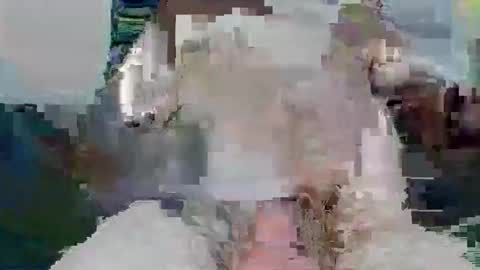 Snapshot of snakeyboy69 chatting on November 26, 10:05 am snakey boy online show from November 26, 10:05 am