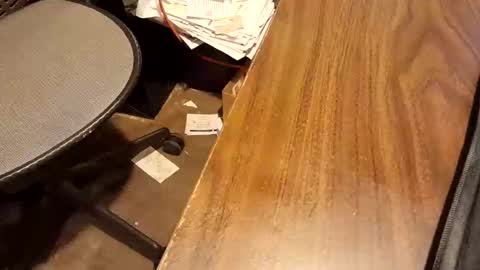 watchmecum online show from February 15, 1:09 pm