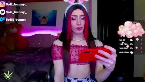 soffi_bunny_ online show from March 15, 6:30 am