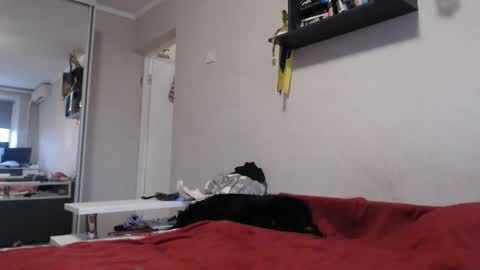 Sofi online show from November 11, 12:27 pm