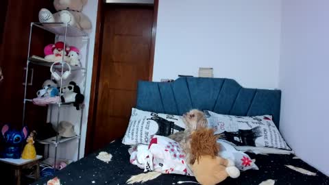 sofia86379 online show from March 17, 7:50 pm