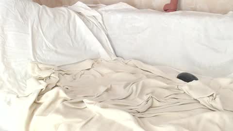 Sofia here online show from January 8, 8:06 am