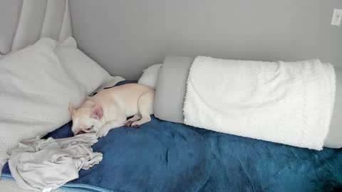 Snapshot of sofia_rivers_ chatting on March 1, 12:23 pm sofia_rivers_ online show from March 1, 12:23 pm