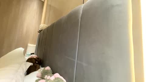 sofiaalvarezx online show from July 11, 5:04 pm