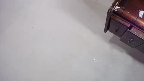 sofiadoll77 online show from December 28, 6:17 am